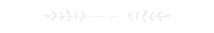 A thin, black line with small leaf shapes on either end and in the middle, resembling a decorative branch or twig.