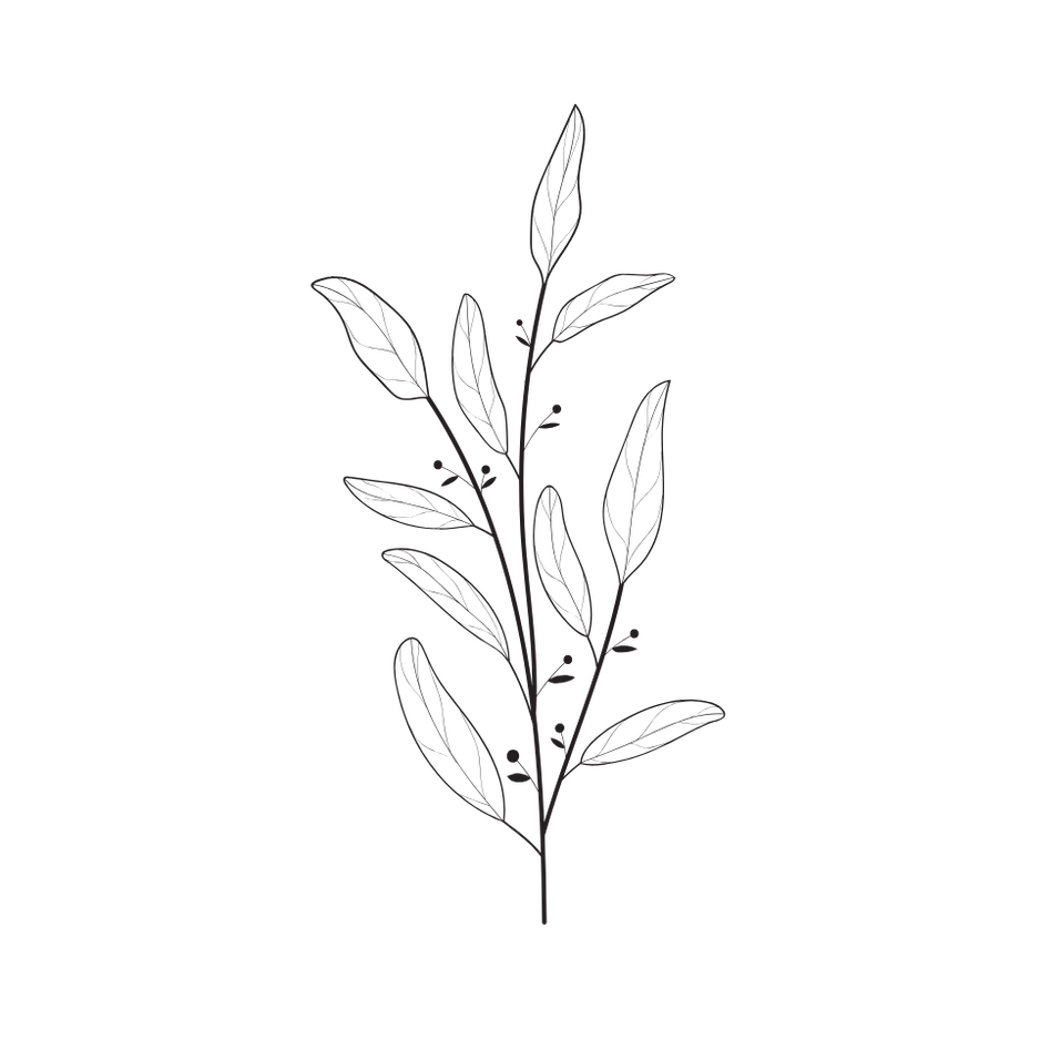 Foliage Outline 