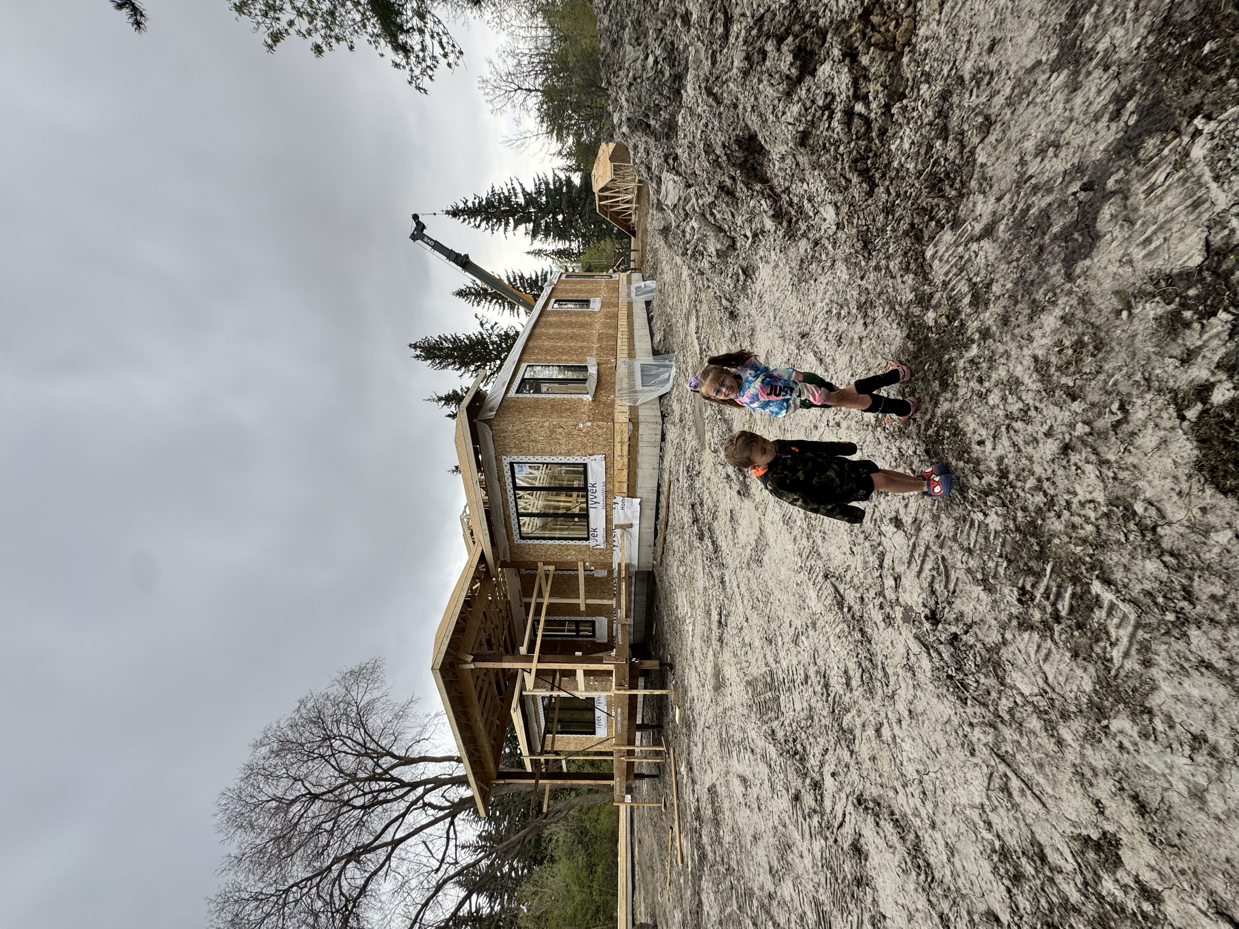 Construction site with a partially built wooden house and workers, surrounded by trees, under a cloudy sky.
