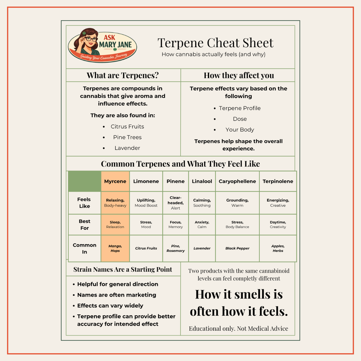 A cannabis guide titled "Terpene Cheat Sheet" by Ask Mary Jane, explaining what terpenes are, how they affect you, and listing common terpenes like Myrcene, Limonene, Pinene, Linalool, Caryophyllene, and Terpinolene with their effects and best uses.
