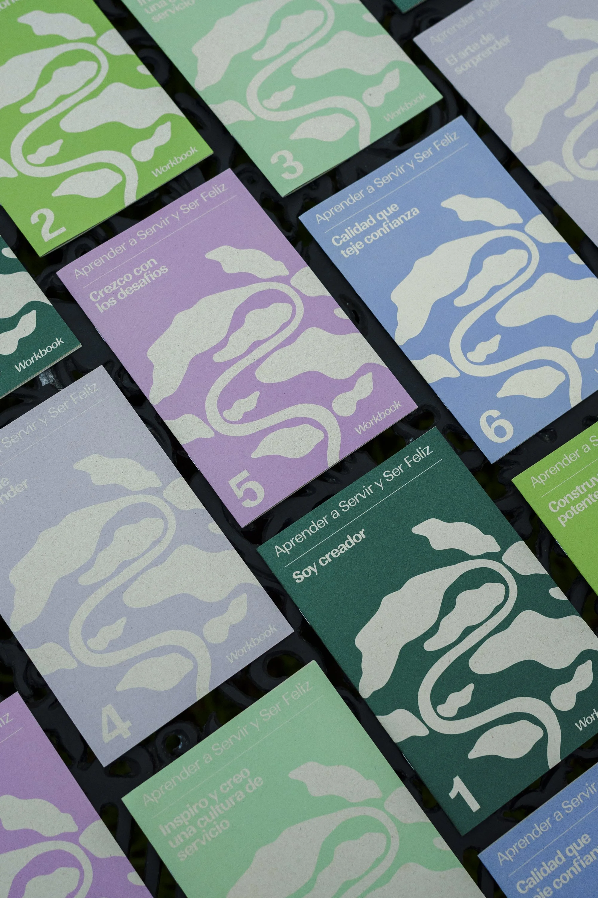 2. Desarrollar liderazgo de servicio y entrenar equipos