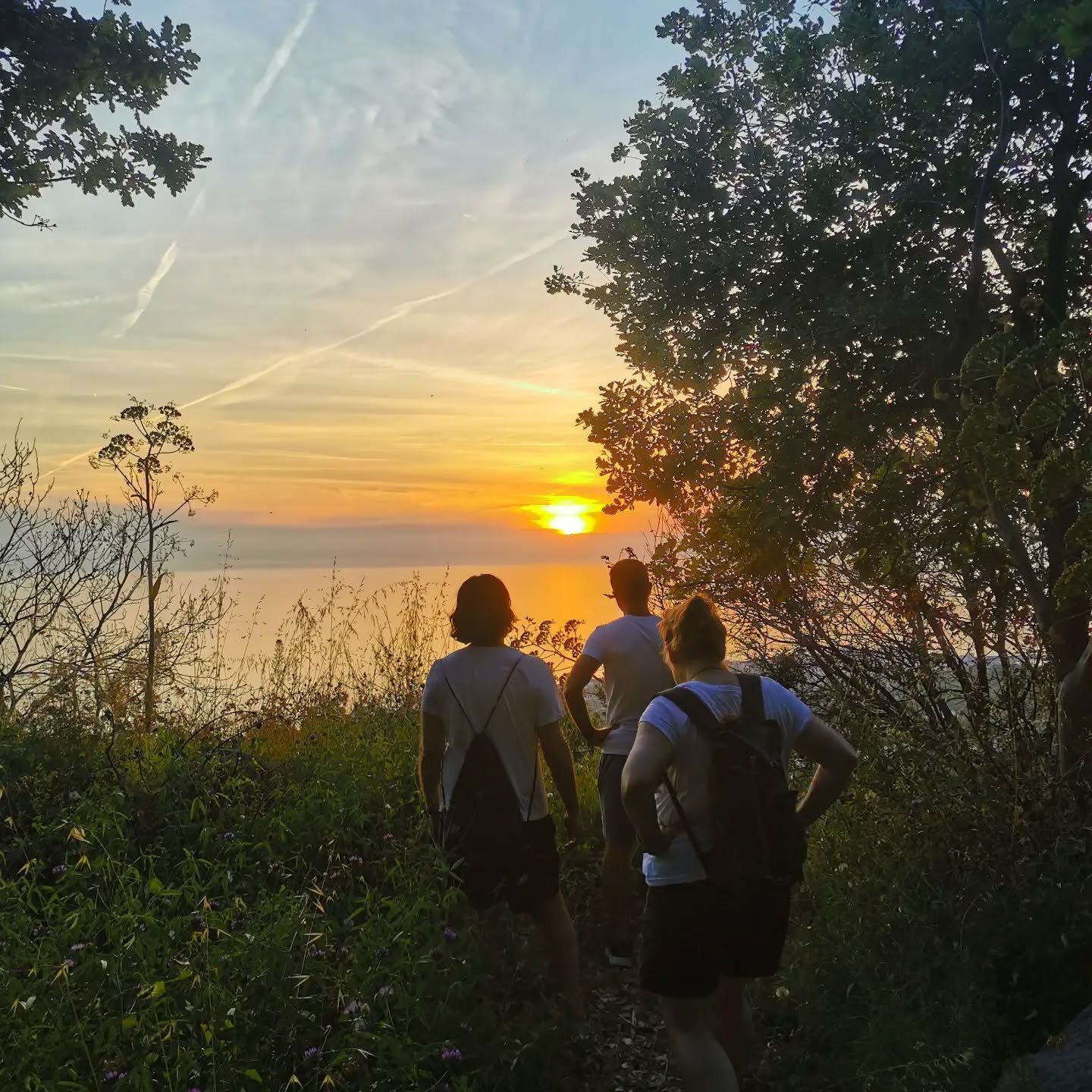 🌻 Ischia is not only beaches and sea, come and discover the real essence of the green island

#ischiahiking #hikingguide #localguide #hikingtour #guidedtour #guidambientale #tourguidati #escursionismo #ecoturismo #hikinglife #Ischia
