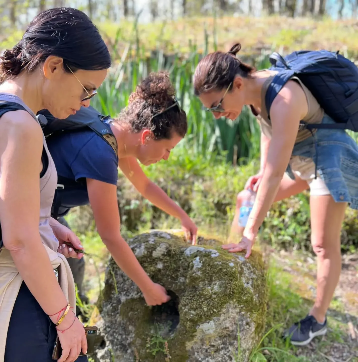 Ancora una volta le escursioni di @ischiahiking vanno in onda su @rai1official con @lineaverderai1 💚💚💚 questa volta con la Guida Ambientale Escursionistica @carmen_abate_ 🌱

#rai #tv #Ischia #ischiahiking #ischiatrekking #isolaverde #guide #guida