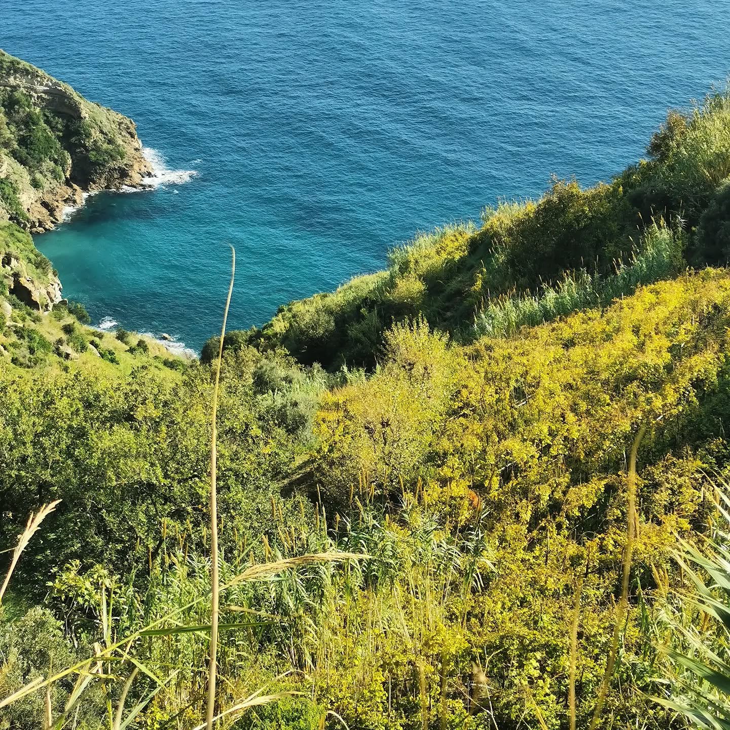Sapevi che sull'isola d'Ischia si pu&ograve; fare trekking tra i vigneti con vista a picco sul mare?