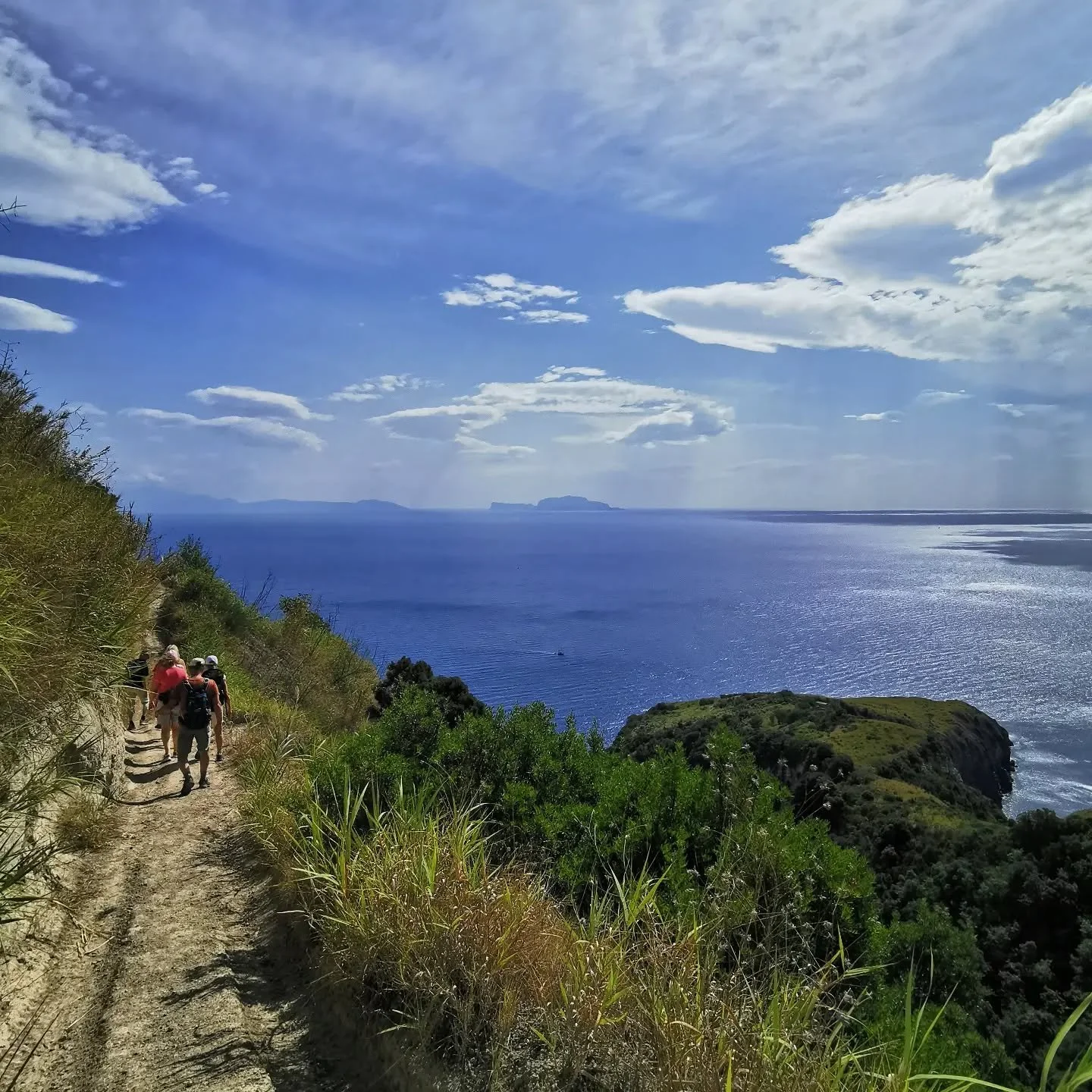 Richiedo info per la prossima escursione tra i sentieri dell'isola d'Ischia 🌱

#Ischia #ischiahiking #ischiatrekking #escursioni #esperienze #escursionischia #trekkingischia #guidambientale #sentieri #isolaverde #isoladischia #iloveischia #islandofi