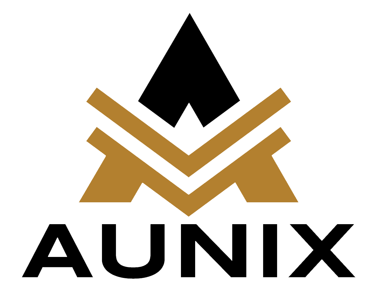 Aunix Energy 