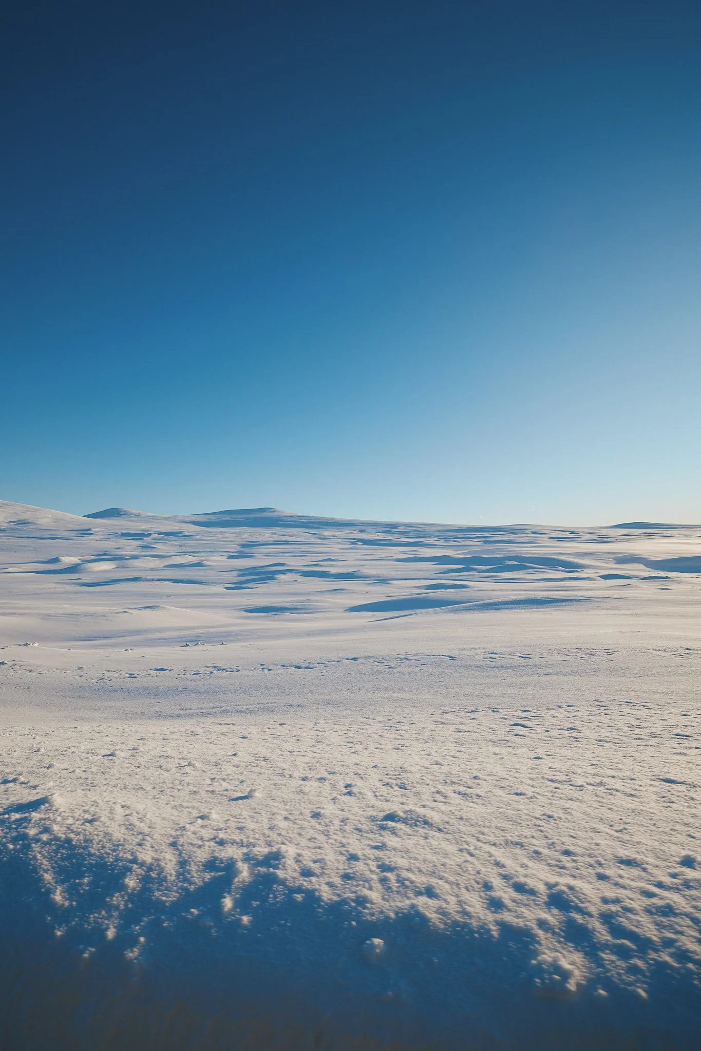 Schneebedecktes Flachland unter klarem blauen Himmel mit einer kleinen Erhebung am Horizont.