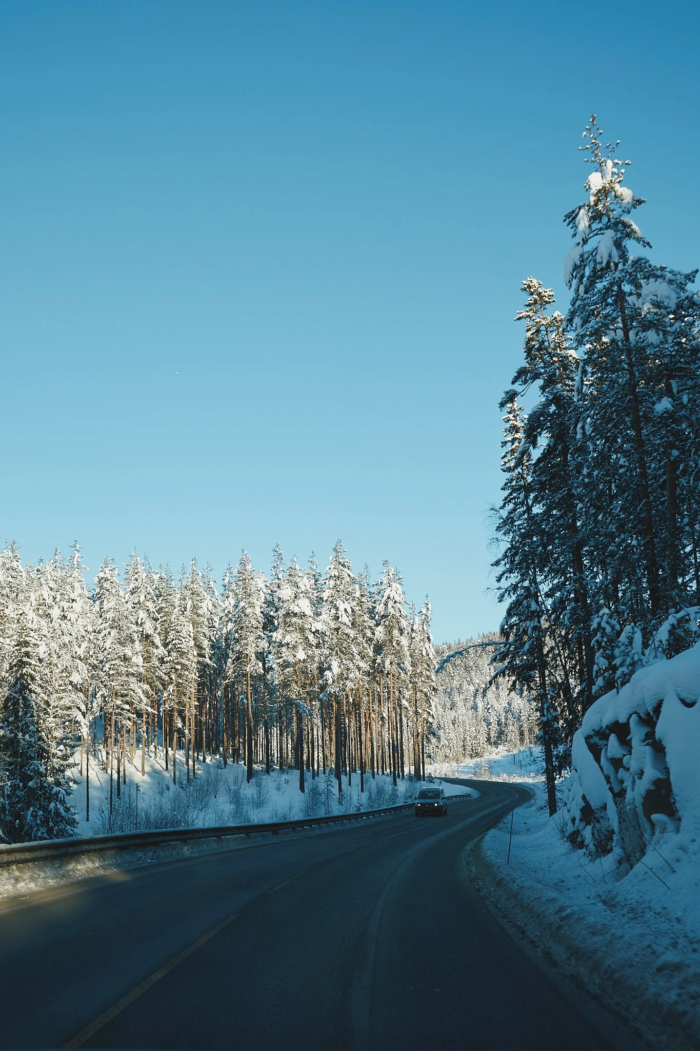 Eine kurvige Straße in einer verschneiten Winterlandschaft mit hohen, schneebedeckten Tannenbäumen auf der rechten Seite und einem blauen Himmel.