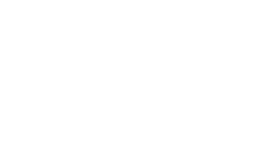 Salewski Stories