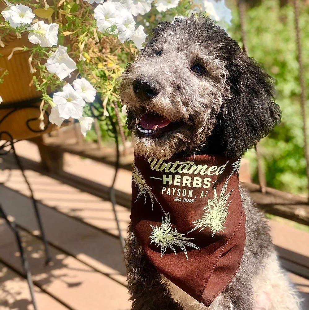 Custom Bandana Design