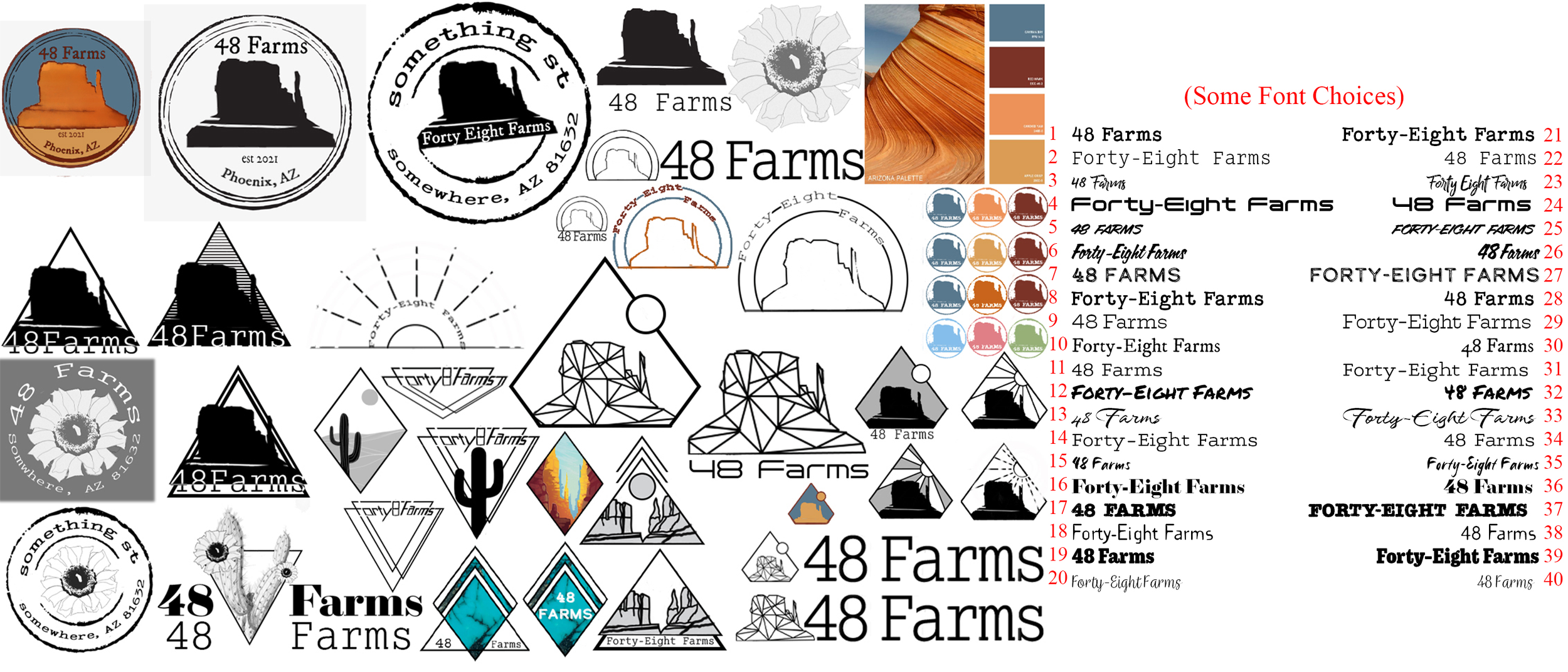 48 Farms Logo Concept