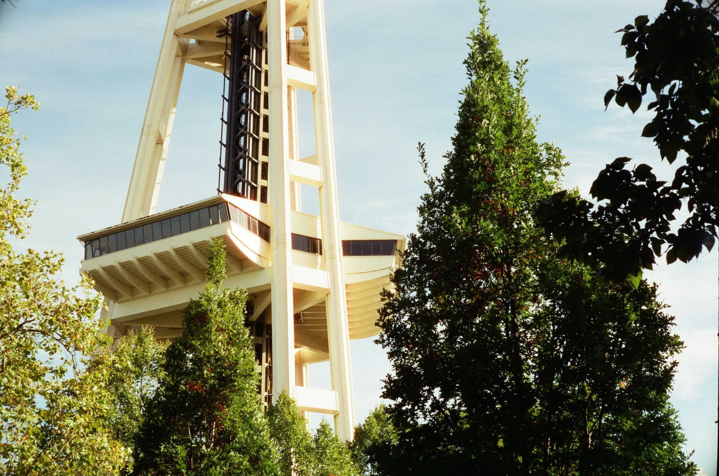 The Space Needle in Seattle surrounded by green trees and a blue sky.