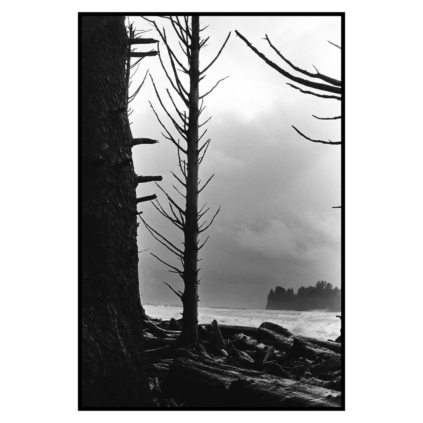 More from our time on the water, pleasantly surprised by the Kubrick vibes that came out in these shots.

I wonder if I will get around to getting out another post before the season starts in a month🤔

T-Minus 29 days until departure for @bearnation