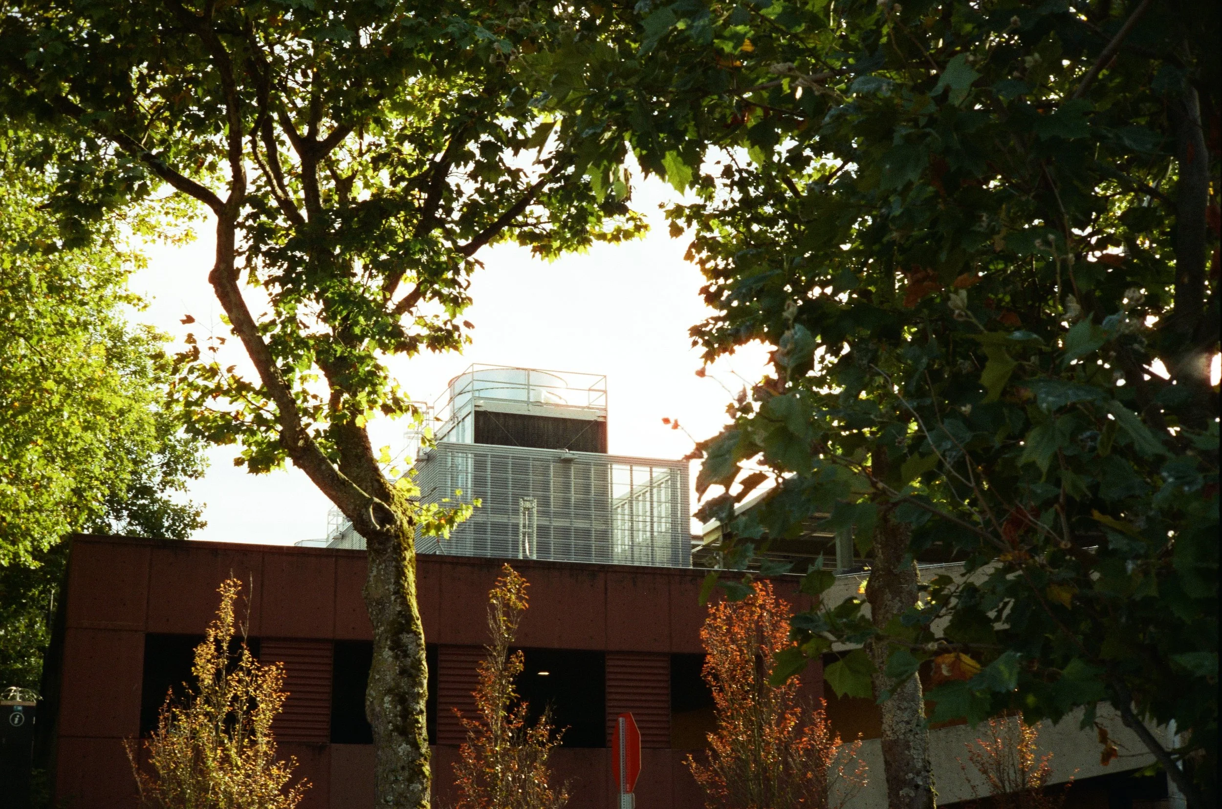 Modern building with glass and metal architecture behind trees with green leaves
