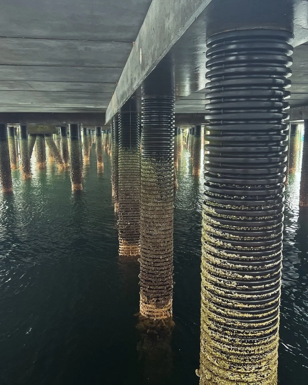 Secret Spots. Just beneath the rumble or ferry arrivals and departures. Where is yours?