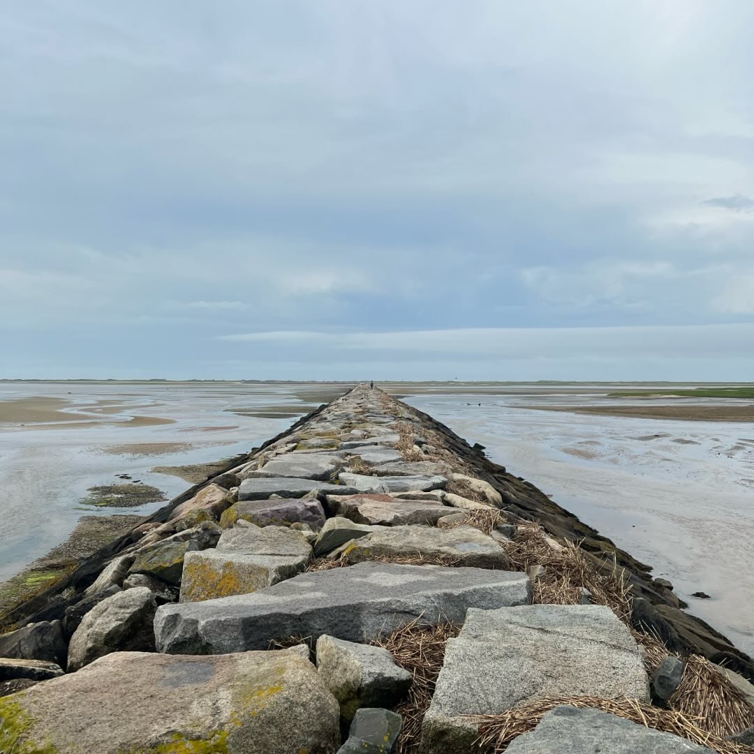 Come find us at the beach.