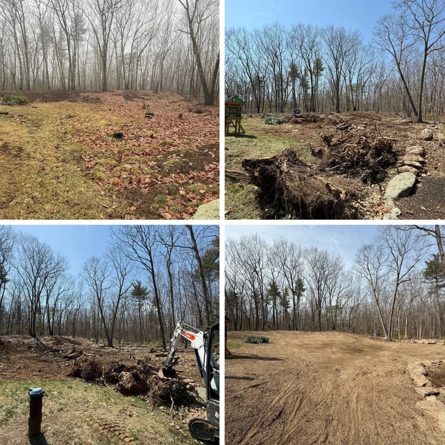 A series of four images showing the process of clearing and landscaping a yard. The first image shows a yard covered with leaves and some small tree stumps, the second shows roots and removal debris, the third shows a backhoe removing large roots, and the fourth shows a cleaned, leveled yard with bare dirt and minimal debris.