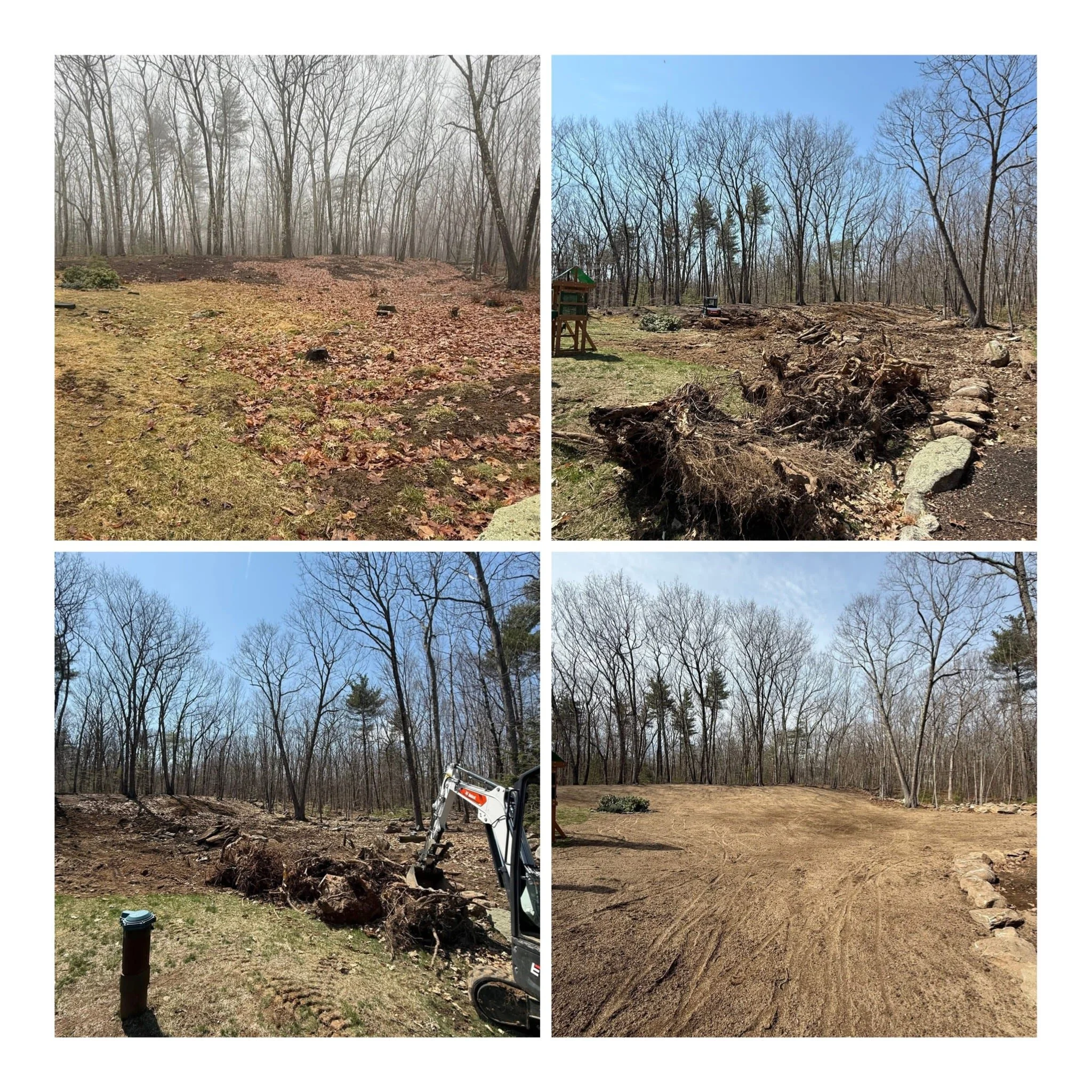 A collage of four photos showing the process of clearing trees from a wooded area. The first photo shows a forest with leafless trees and a cleared ground covered with leaves. The second photo shows trees being cut down, with logs and debris on the ground. The third photo shows a small excavator removing roots and stumps, with a cleared area of soil. The fourth photo shows an expanded cleared land with smooth soil and a line of rocks along the edge, ready for further development.