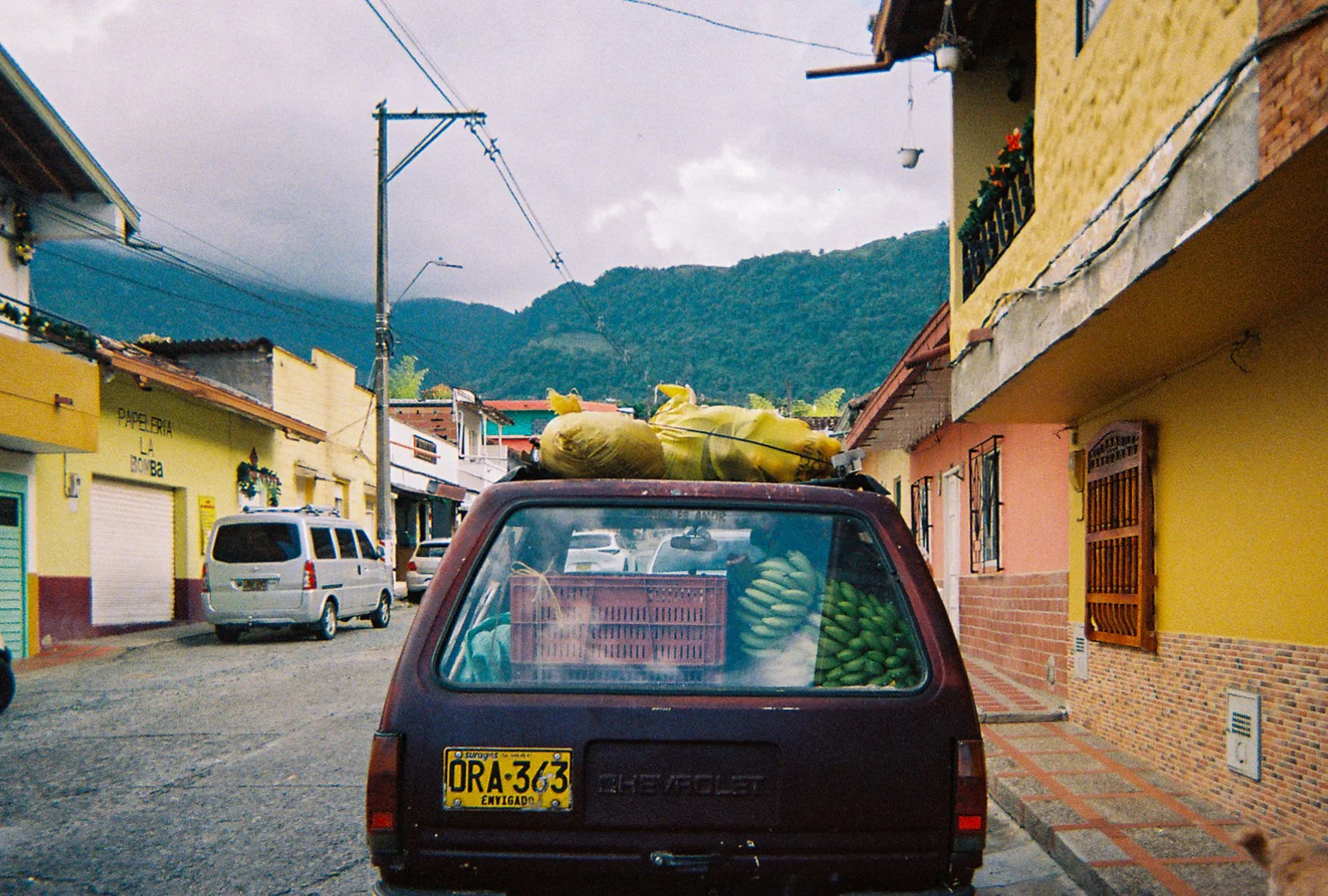 260109-FILM-2-2.jpg
