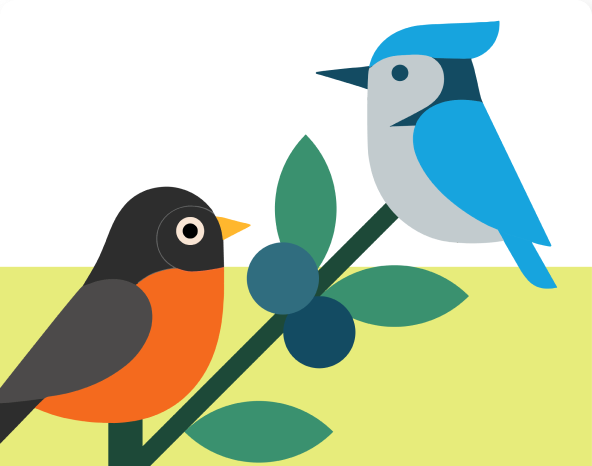 Digital illustration of two colorful birds perched on a branch with green leaves and blueberries, set against a minimal background.