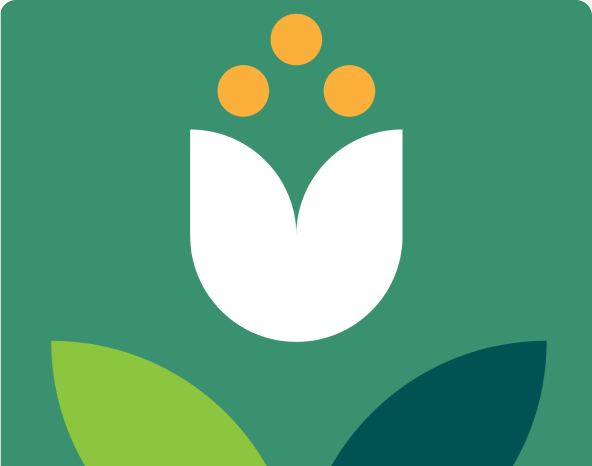 A stylized white tulip-shaped flower with three yellow circles above it, green background, and two green leaves at the bottom.