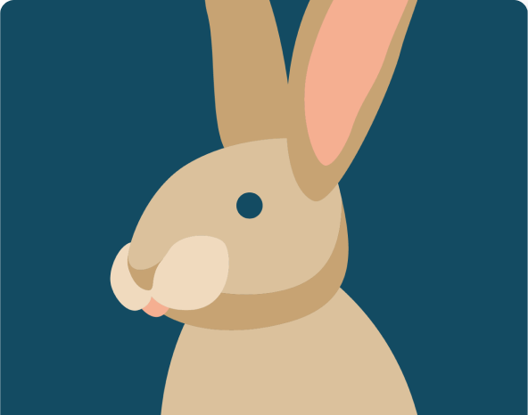 Illustration of a rabbit with large ears and a simple, cartoon style
