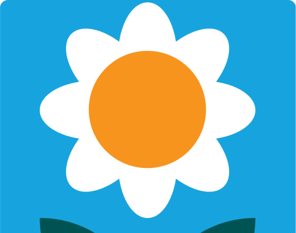 Simplified graphic of a white daisy with a yellow center on a blue background.