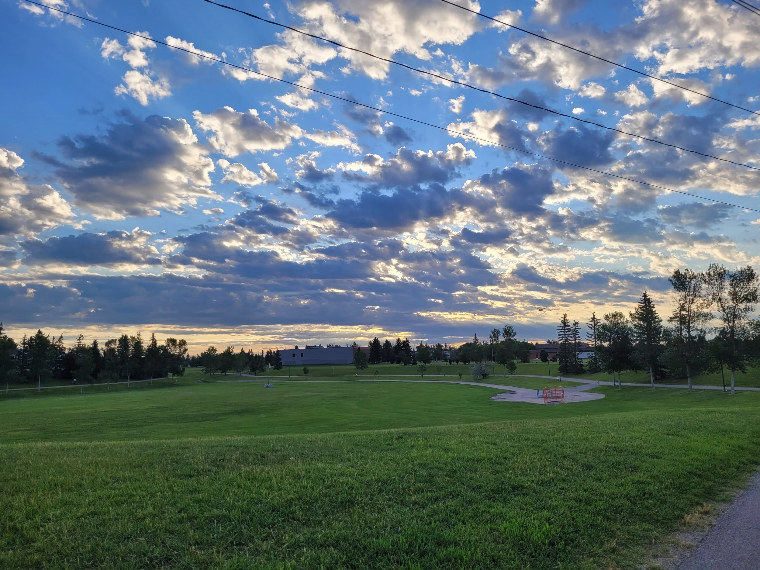 A wide view of a park with lush green grass, trees, and a paved walking path in the foreground. The sky is partly cloudy with the sun setting or rising, casting a warm glow. There are some buildings and power lines in the background.