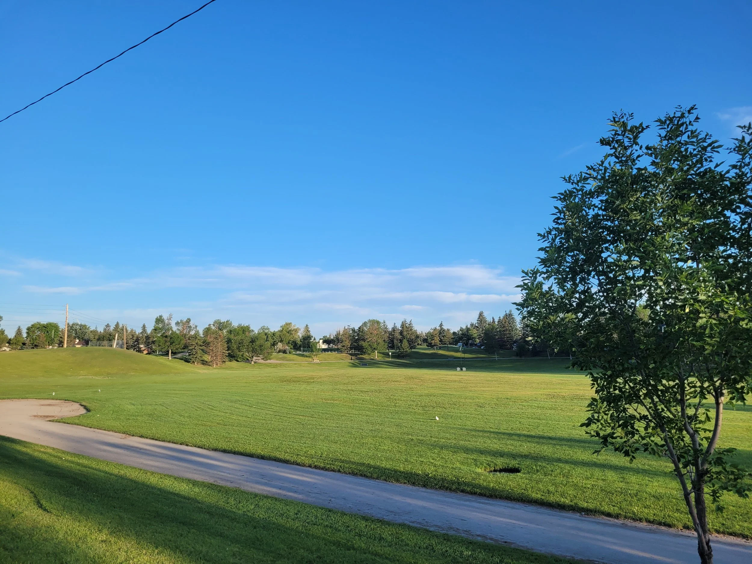 A park with a grassy field, a walking path, trees, and a line of houses and power lines under a clear blue sky.