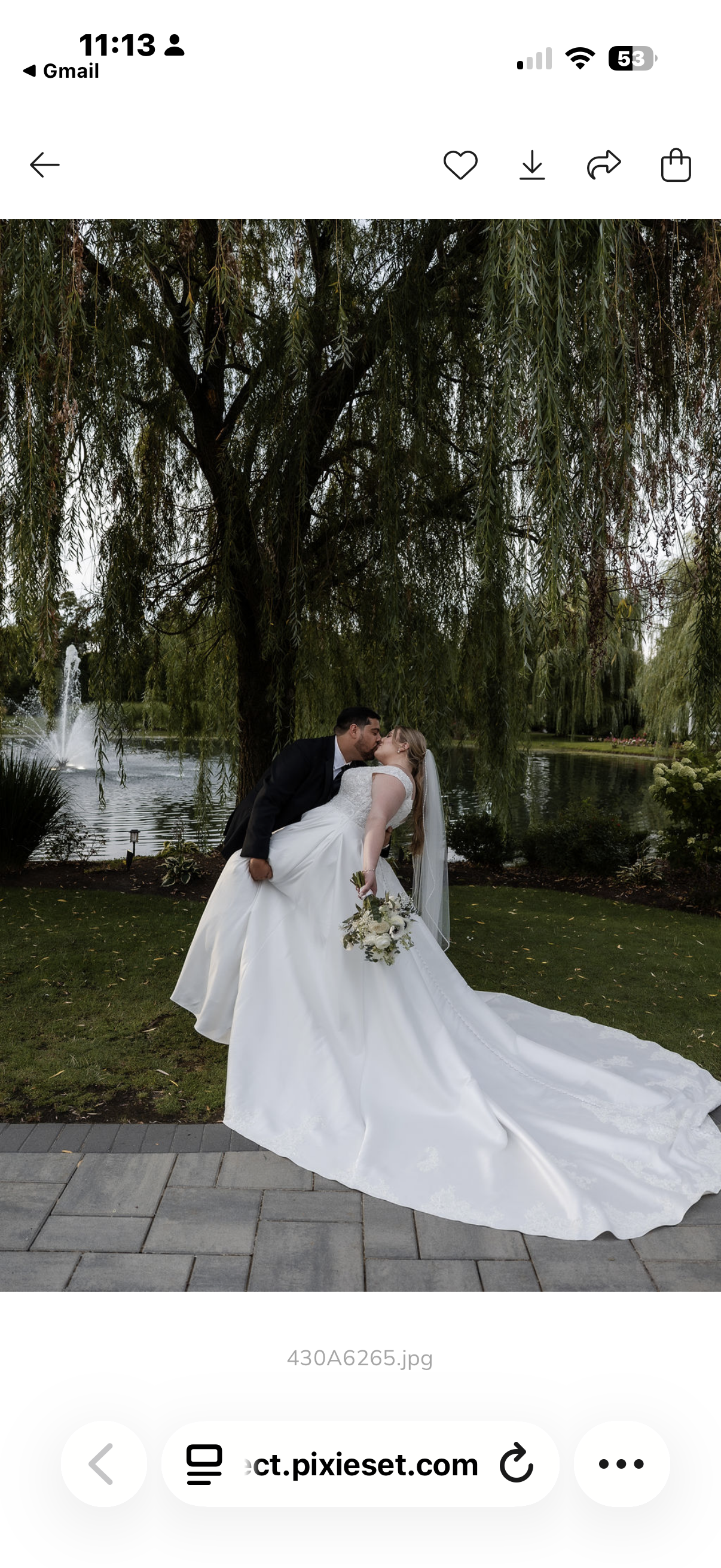A bride and groom sharing a kiss outdoors by a pond with a fountain in the background, surrounded by trees.