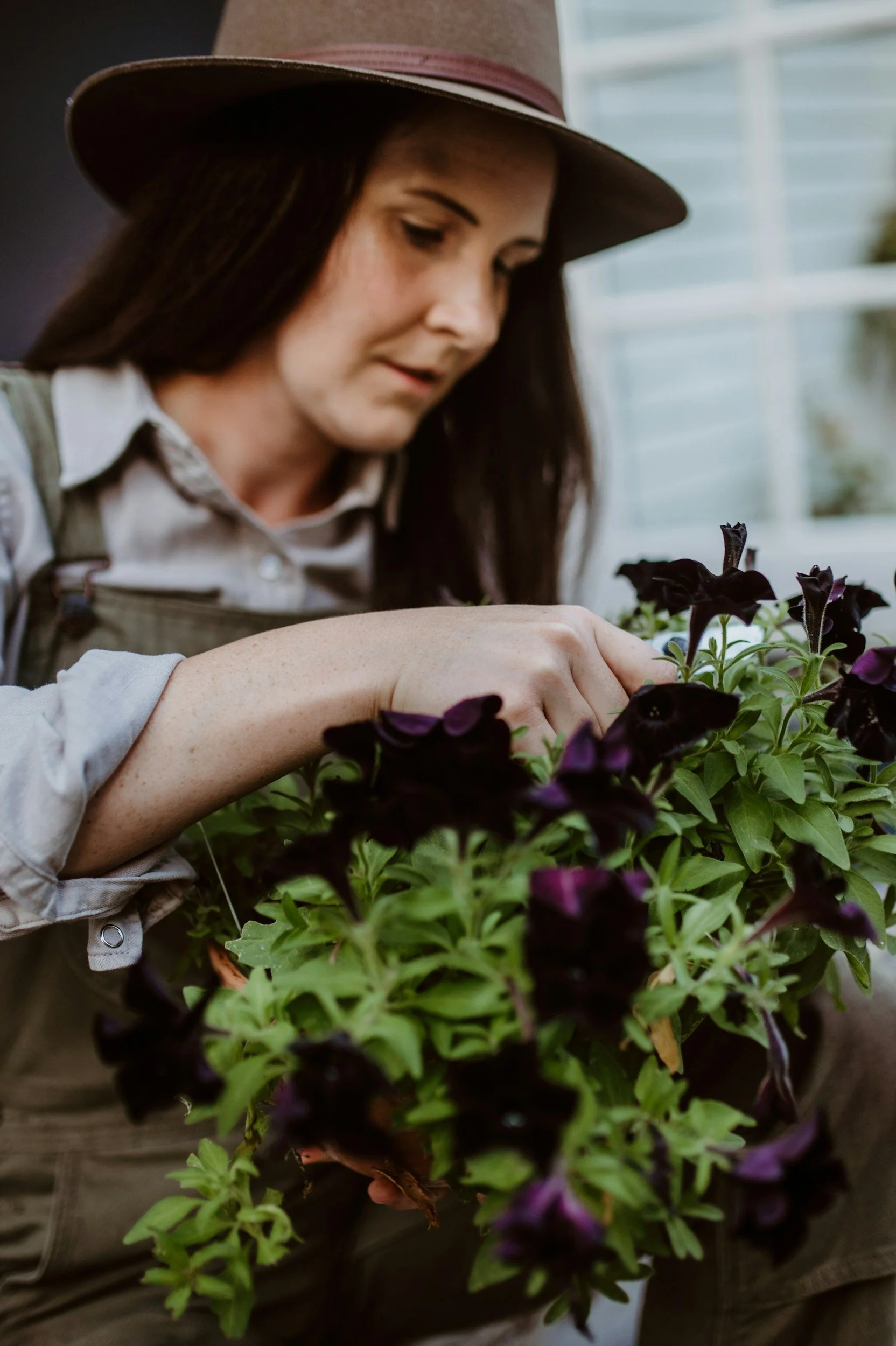  Fall Plant Sale