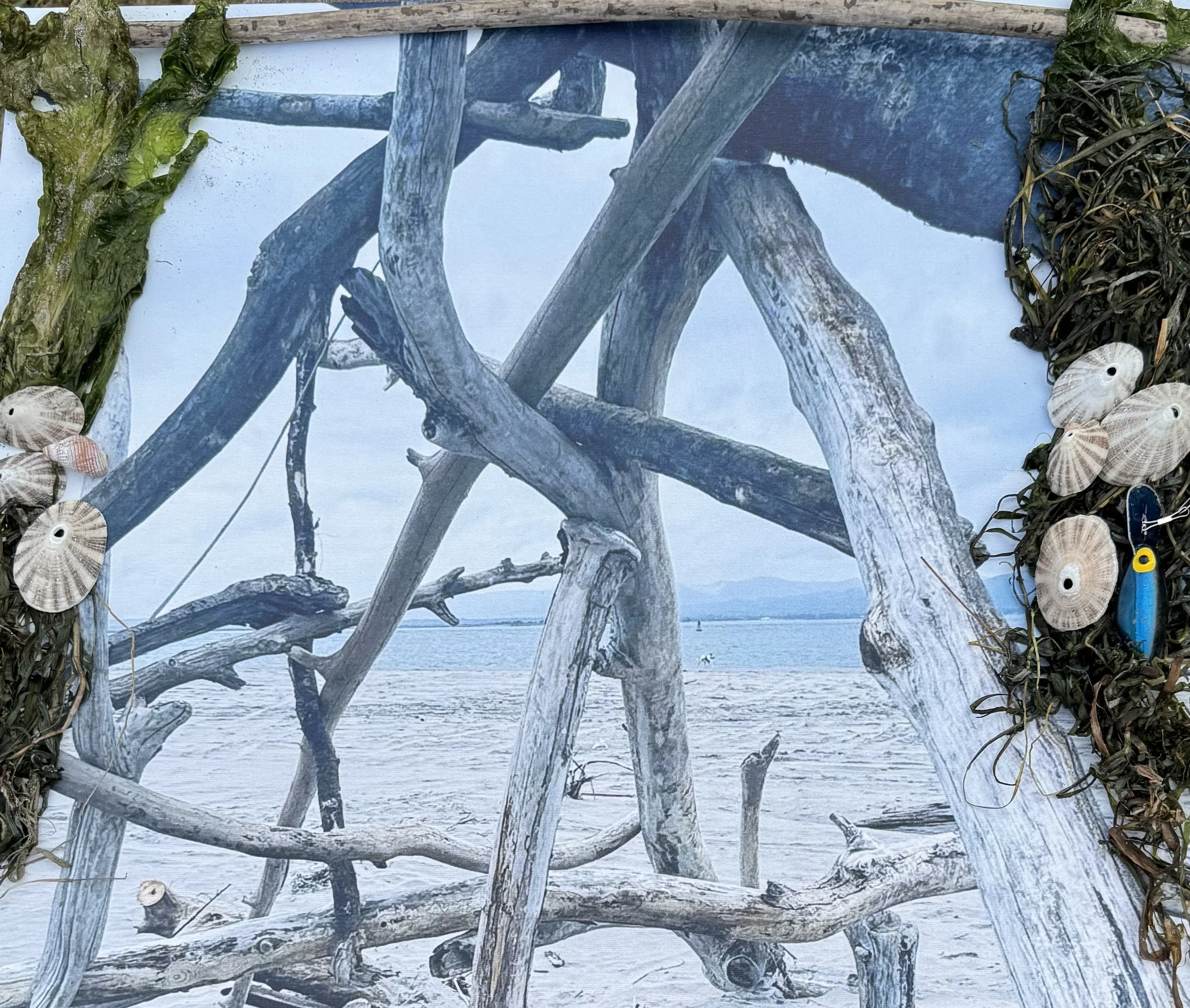 Jennifer Nightingale - Kelp Curtains.jpeg