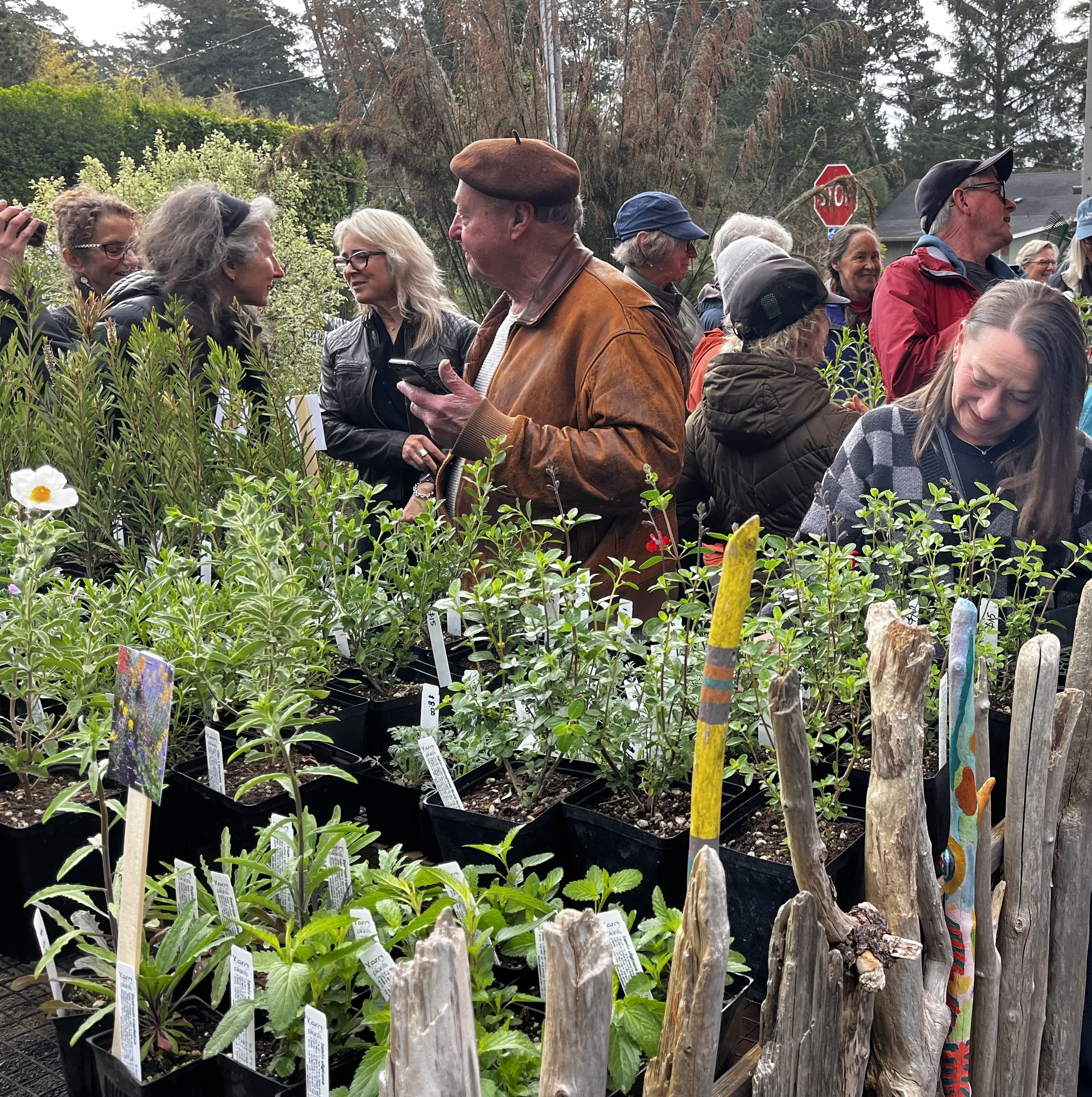 Purchase plants at the Wonder Garden Plant Sale September 26
