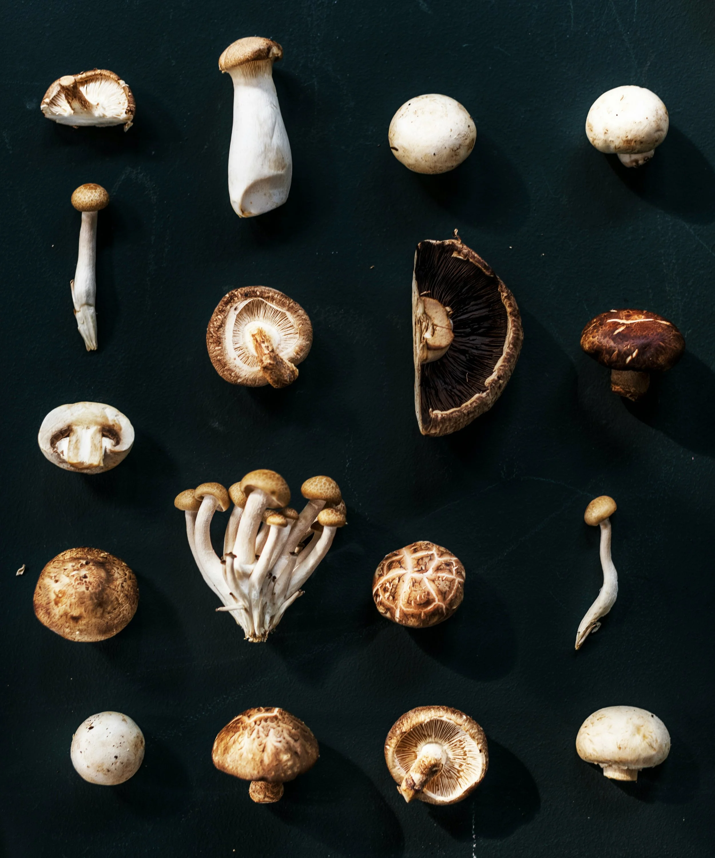 curated-lifestyle-yD3p1rQx0a0-unsplash.jpg