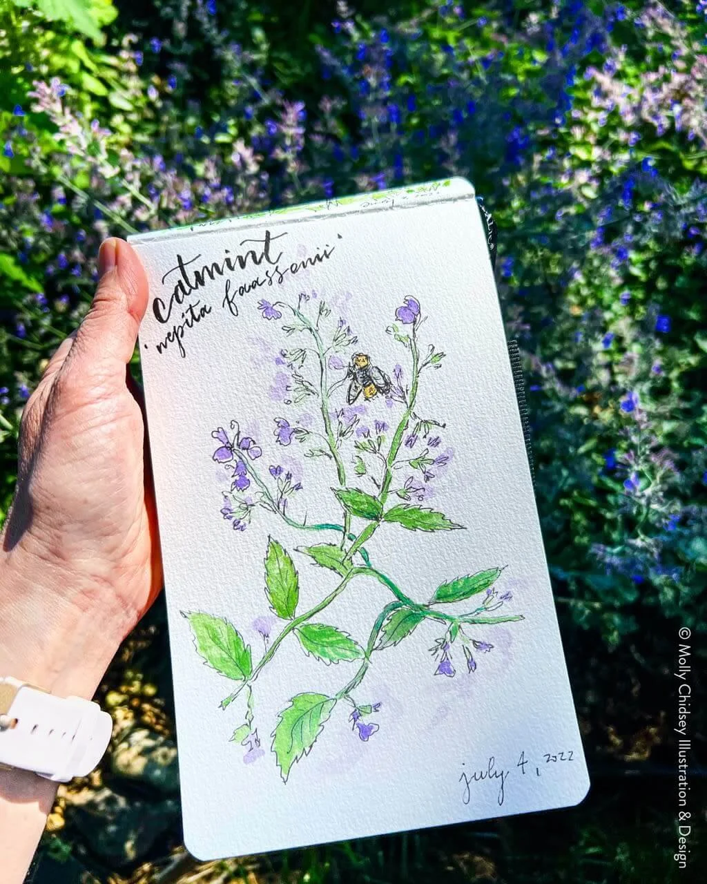 Cultivating Wonder: Botanical Illustration in Ink & Watercolor
