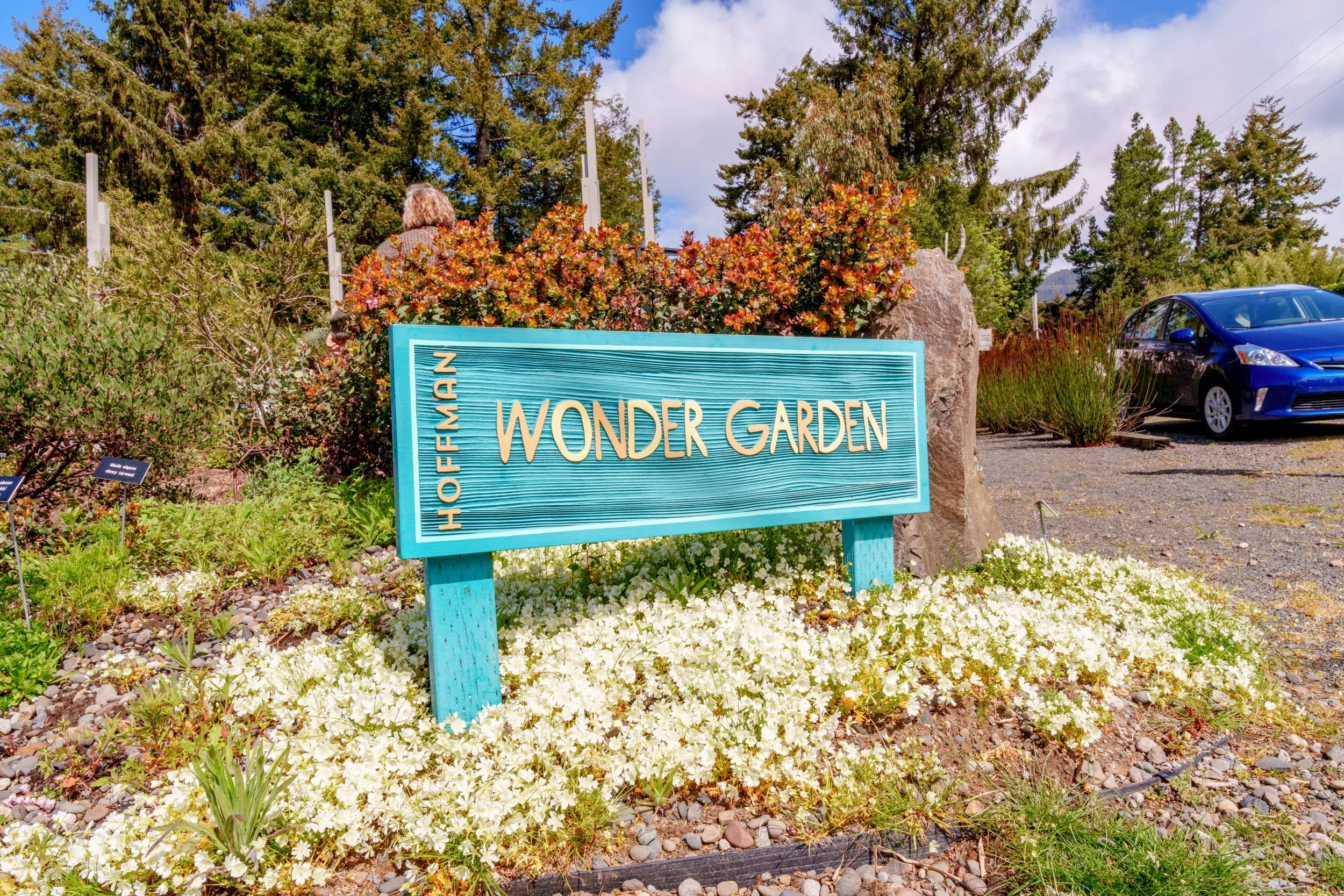 A garden with various plants, flowers, and shrubs, with a sign that reads 'Wonder Garden'. Behind the garden, there are trees and parking lot with a blue car, and a woman with blonde hair looking at the plants.