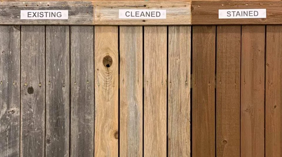 Comparison of three wooden fence panels labeled 'Existing', 'Cleaned', and 'Stained' from left to right.