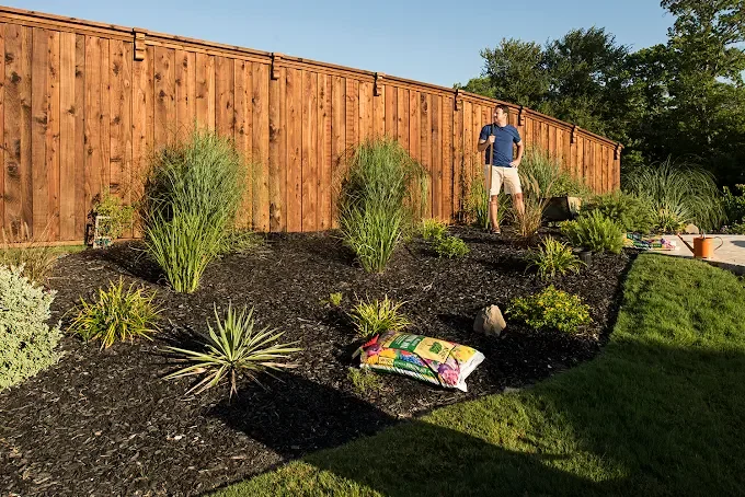 A person standing in a backyard garden with various plants, mulch, and a wooden fence in the background during daytime.