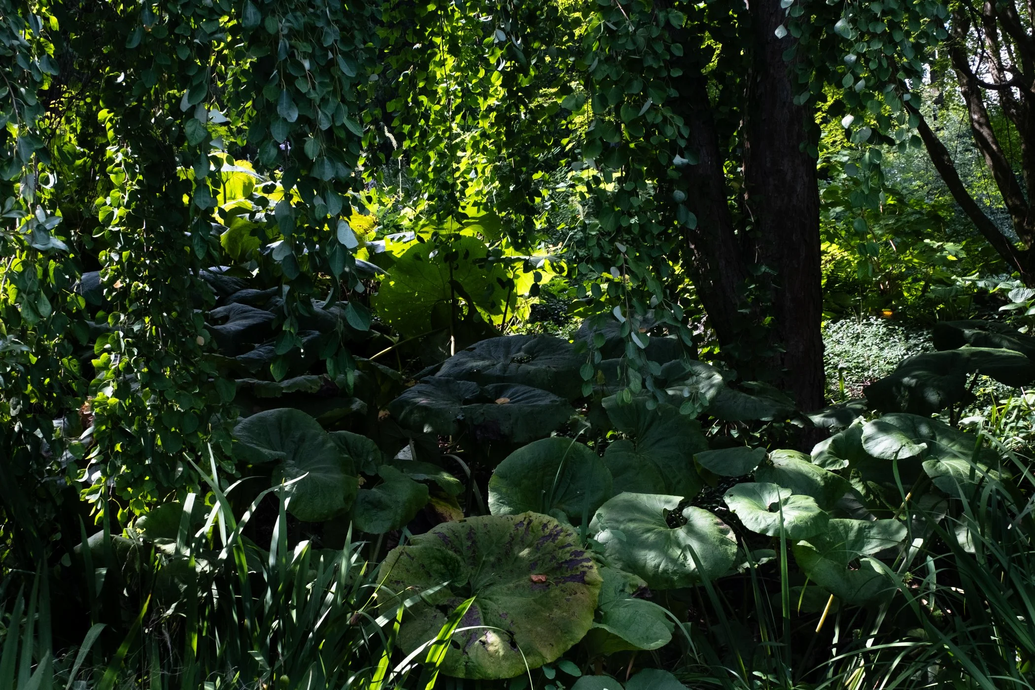 imgi_26_Garden+CONTACT+Final+Portfolio+5-12_Page_25.jpg