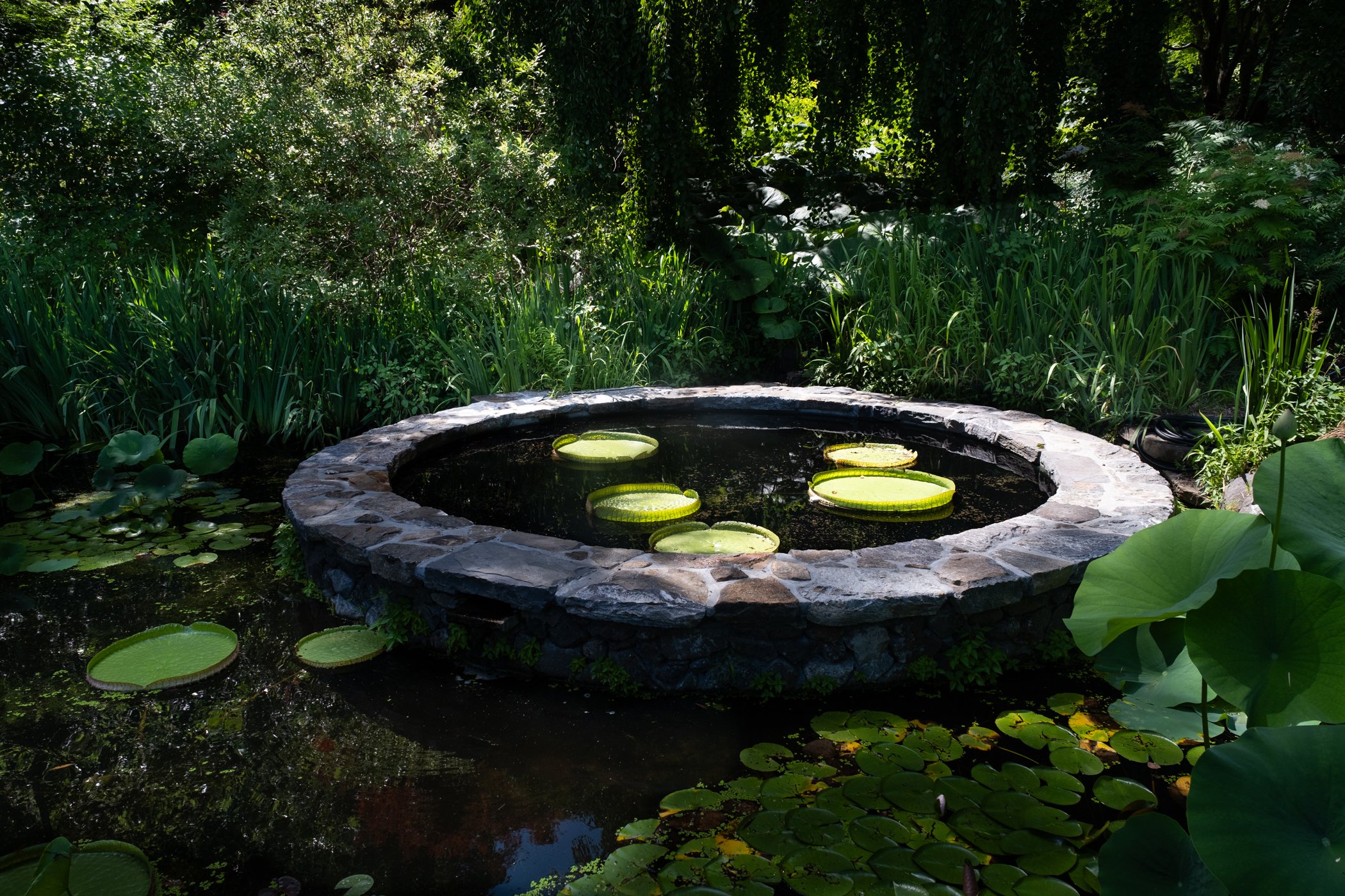 Garden CONTACT Final Portfolio 5-12_Page_21.jpg