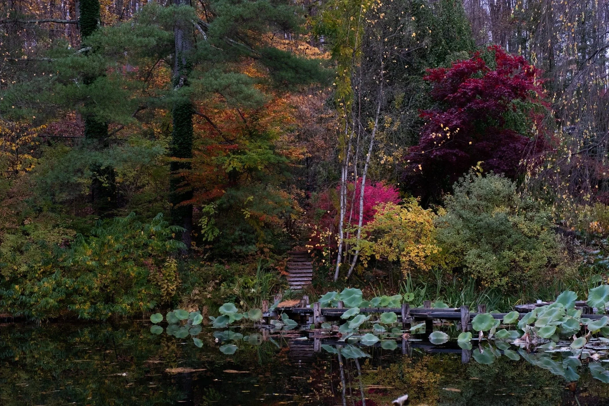imgi_13_Garden+CONTACT+Final+Portfolio+5-12_Page_12.jpg