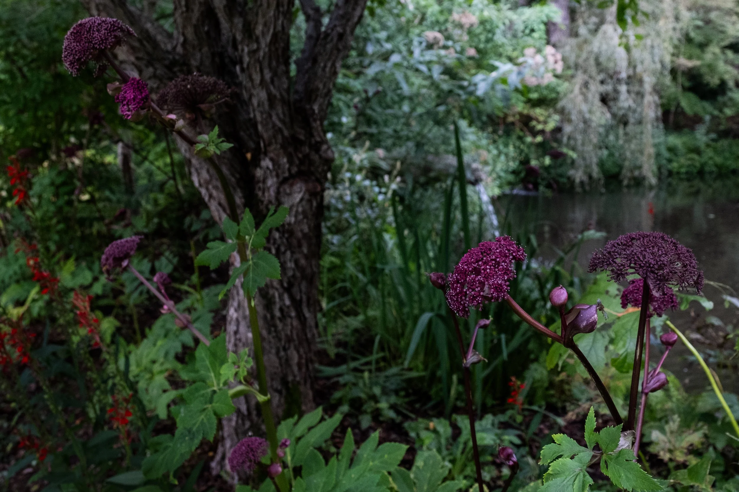 imgi_27_Garden+CONTACT+Final+Portfolio+5-12_Page_26.jpg