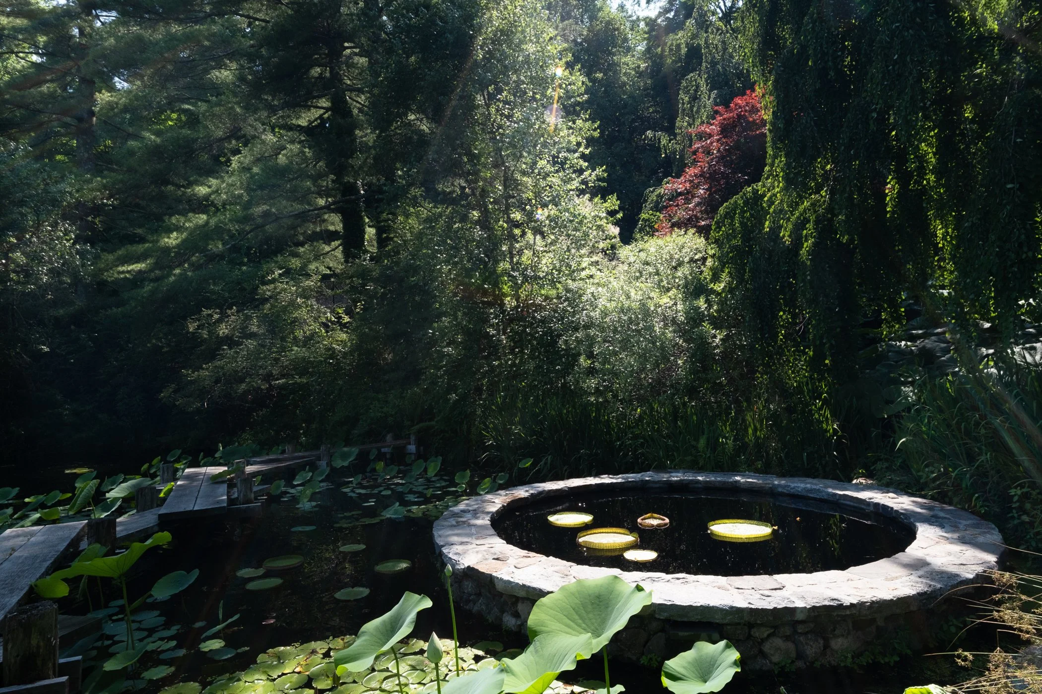 imgi_25_Garden+CONTACT+Final+Portfolio+5-12_Page_24.jpg