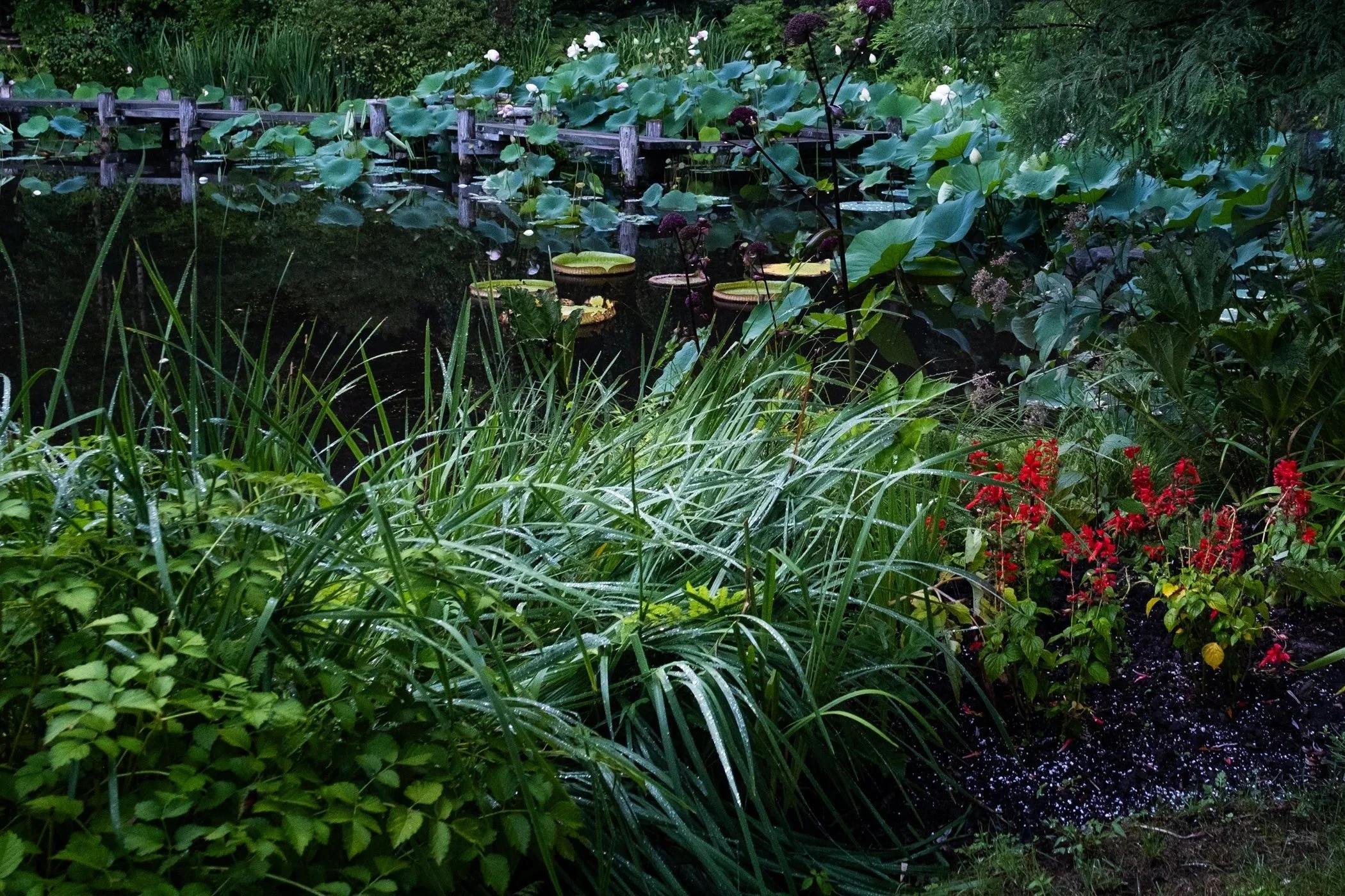 imgi_4_Garden+CONTACT+Final+Portfolio+5-12_Page_03.jpg