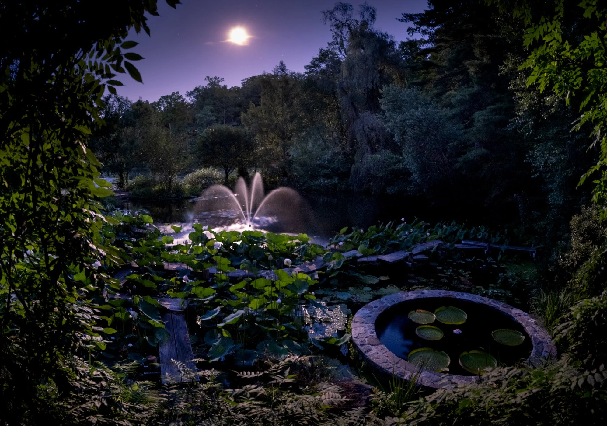 The Lotus Revealed - Garden edits 5-13-26_Page_38.jpg