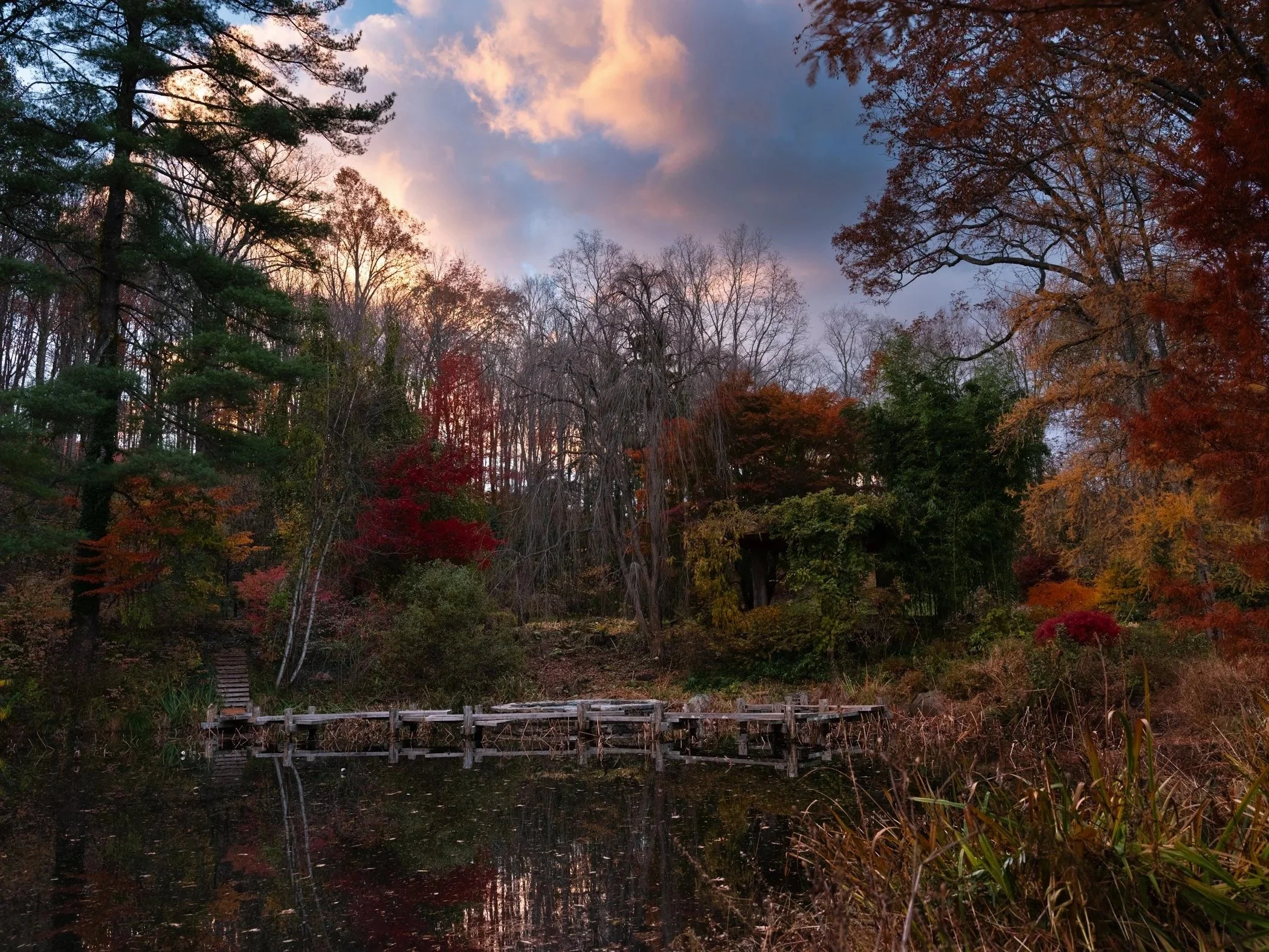imgi_15_Garden+CONTACT+Final+Portfolio+5-12_Page_14.jpg