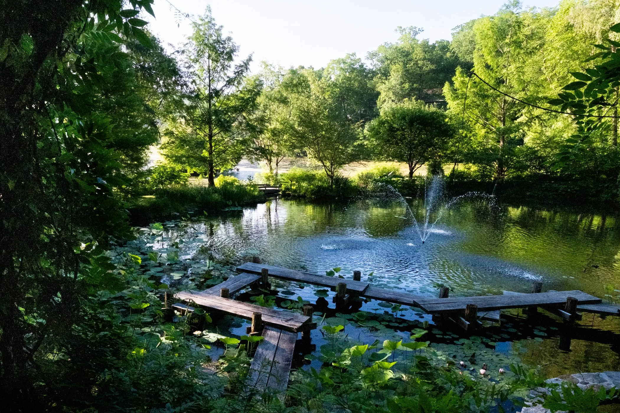 imgi_6_Garden+CONTACT+Final+Portfolio+5-12_Page_05.jpg