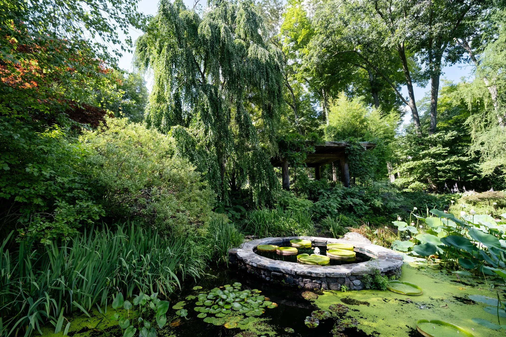 The Lotus Revealed - Garden edits 5-13-26_Page_02.jpg