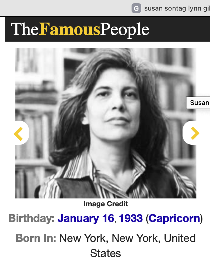 Susan Sontag #3.png