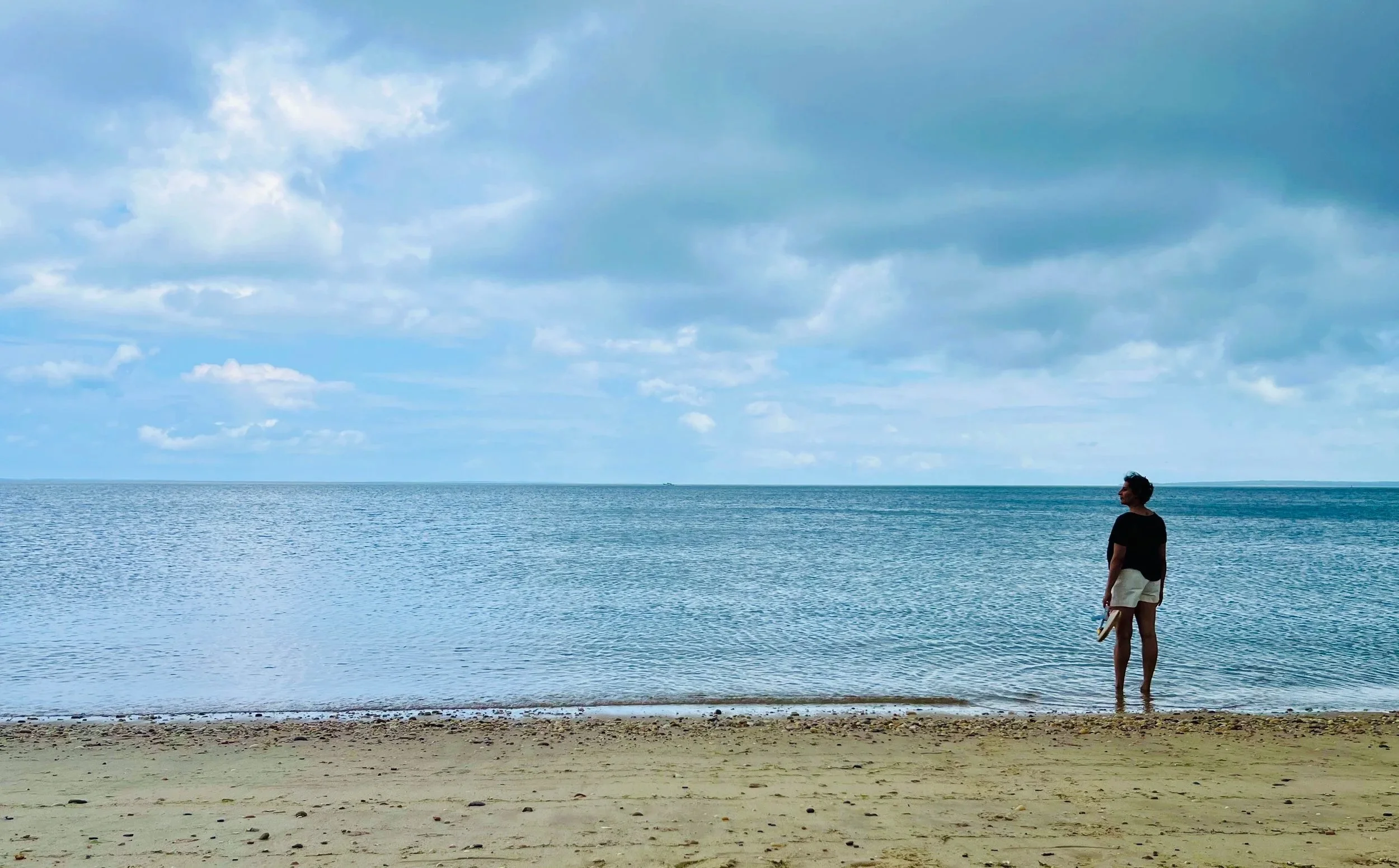 A person standing on a sandy beach near the shoreline, holding a book or notebook, looking out at the calm ocean under a cloudy sky.